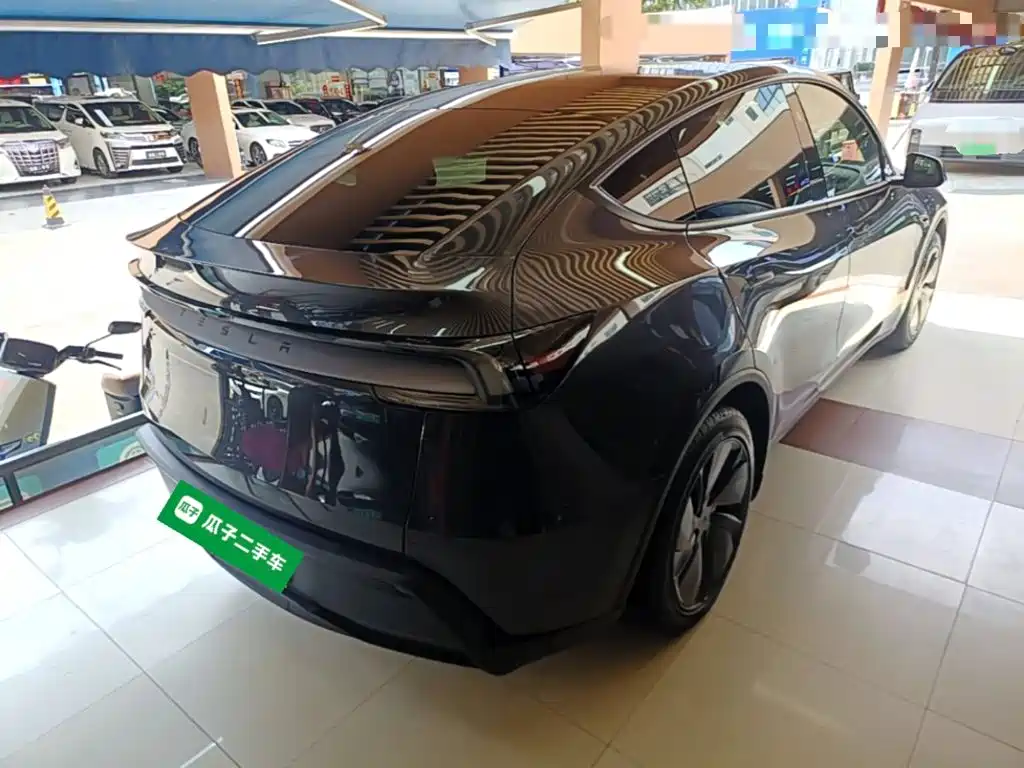 Tesla Model Y — миниатюра 7