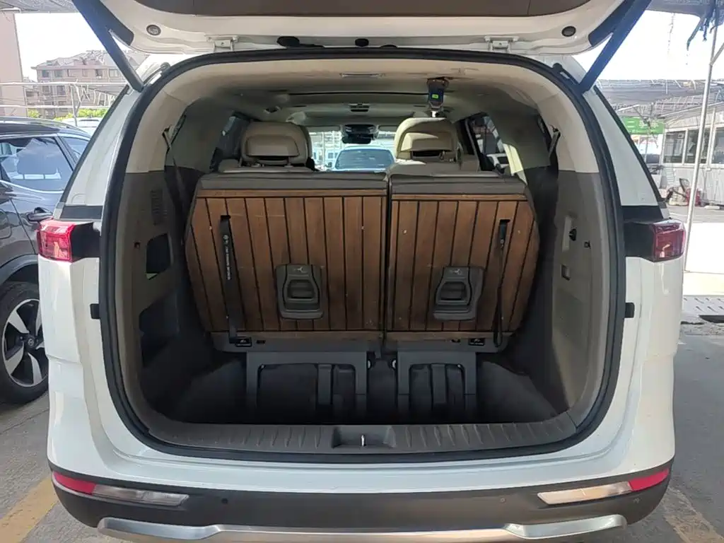 Kia Carnival — миниатюра 19