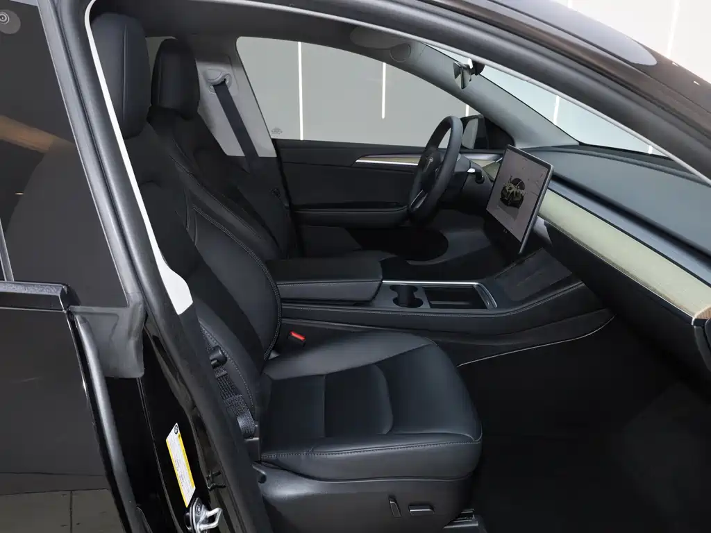 Tesla Model Y — миниатюра 27