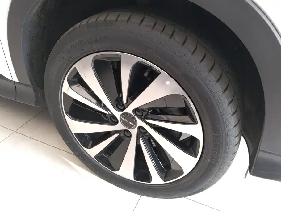 BYD PLUS New Energy — миниатюра 6