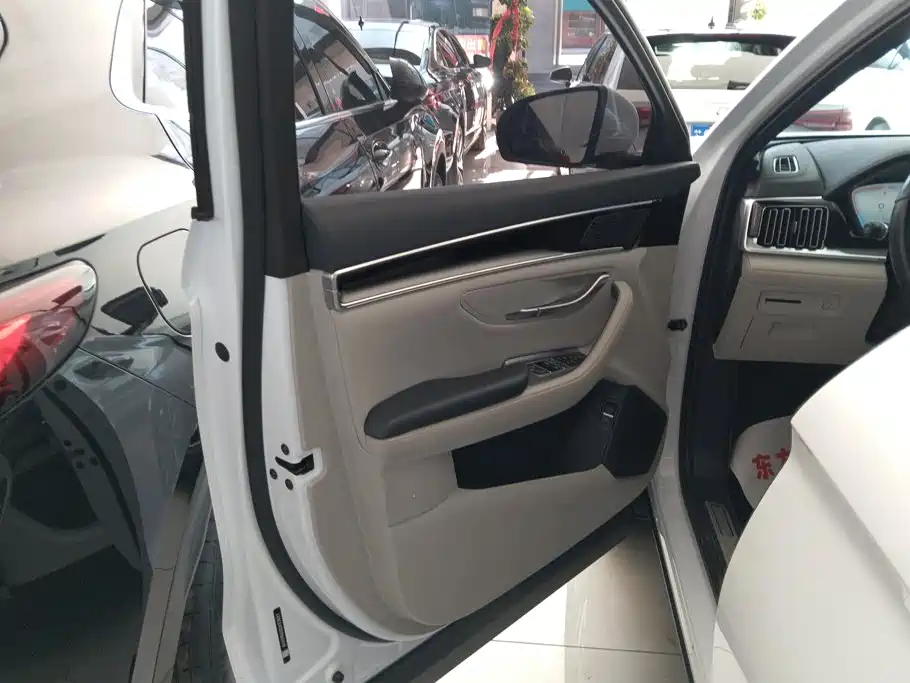 BYD PLUS New Energy — миниатюра 7