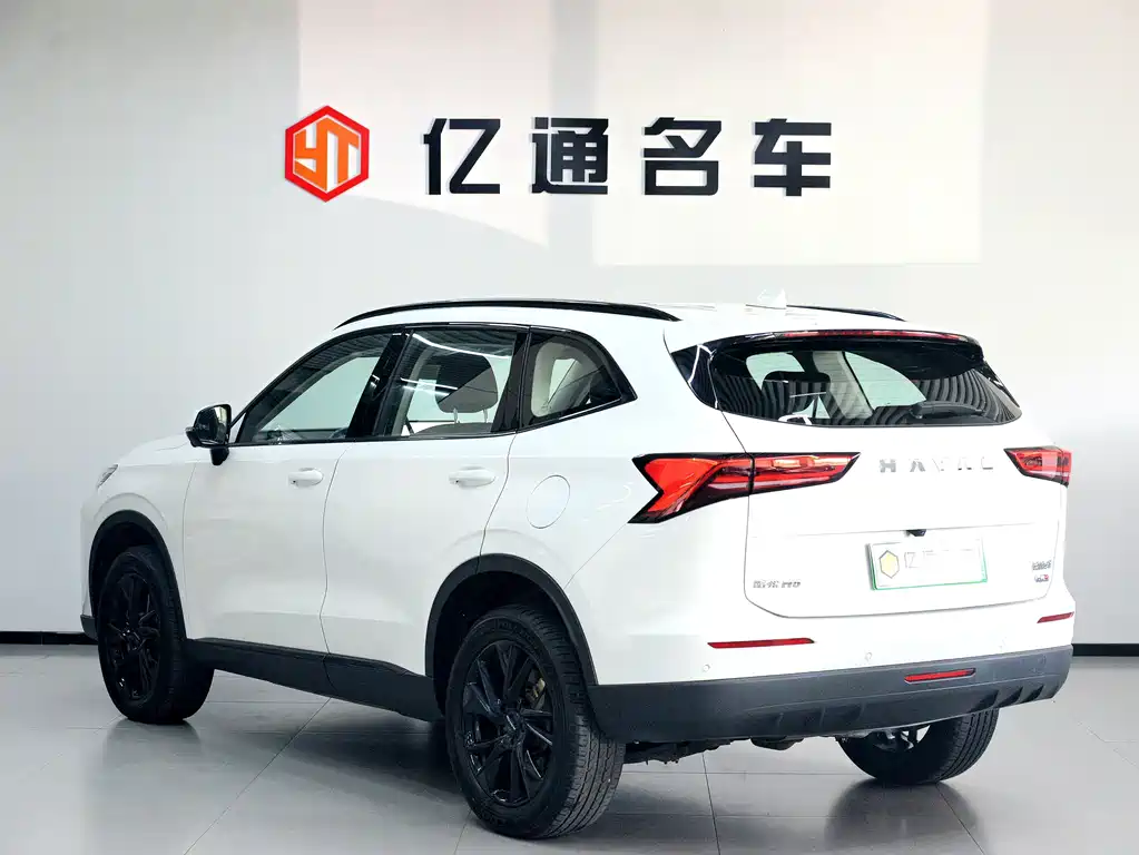 Haval H6 New Energy — миниатюра 16