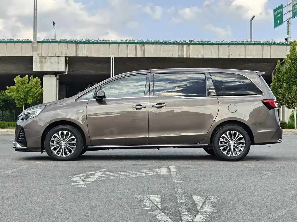 Buick GL8 — миниатюра 12