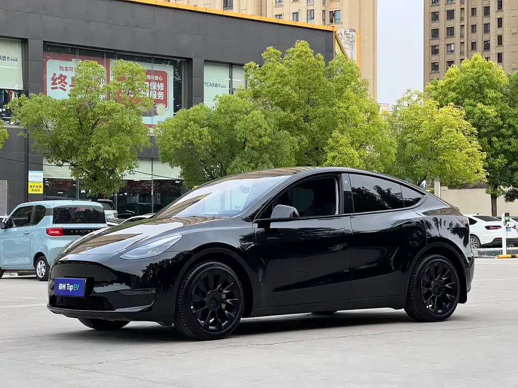 Tesla Model Y 2021 Standard Range RWD Edition