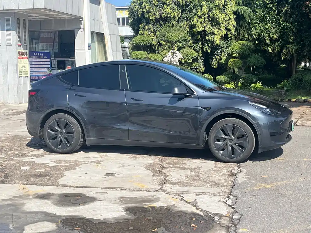 Tesla Model Y — миниатюра 3
