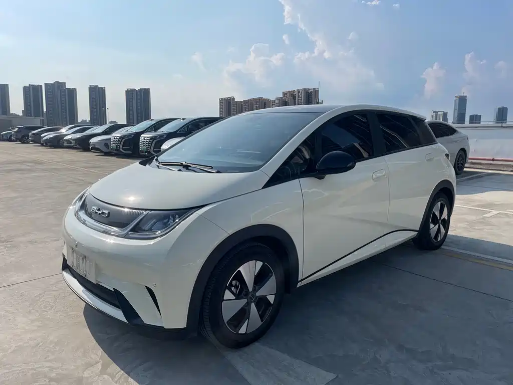 BYD Dolphin — миниатюра 2