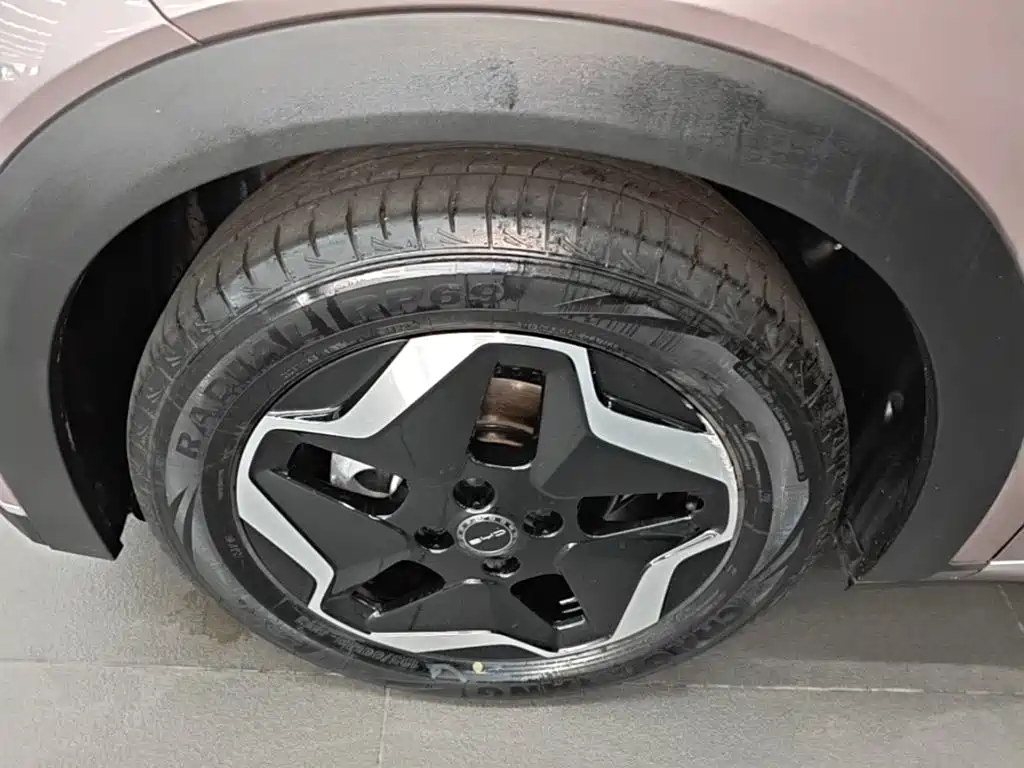 BYD Dolphin — миниатюра 23