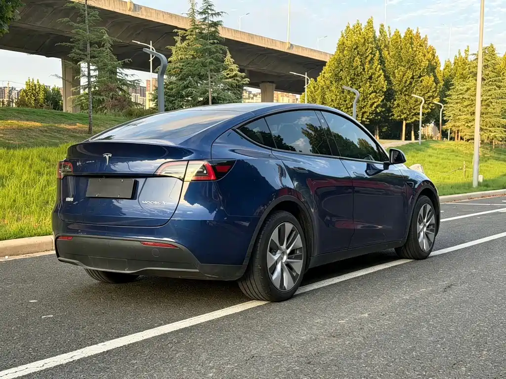 Tesla Model Y — миниатюра 15
