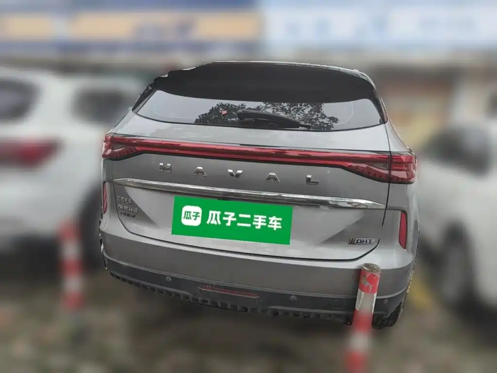 Haval H6 New Energy DHT-PHEV 110KM Joy Travel Edition, фото 5