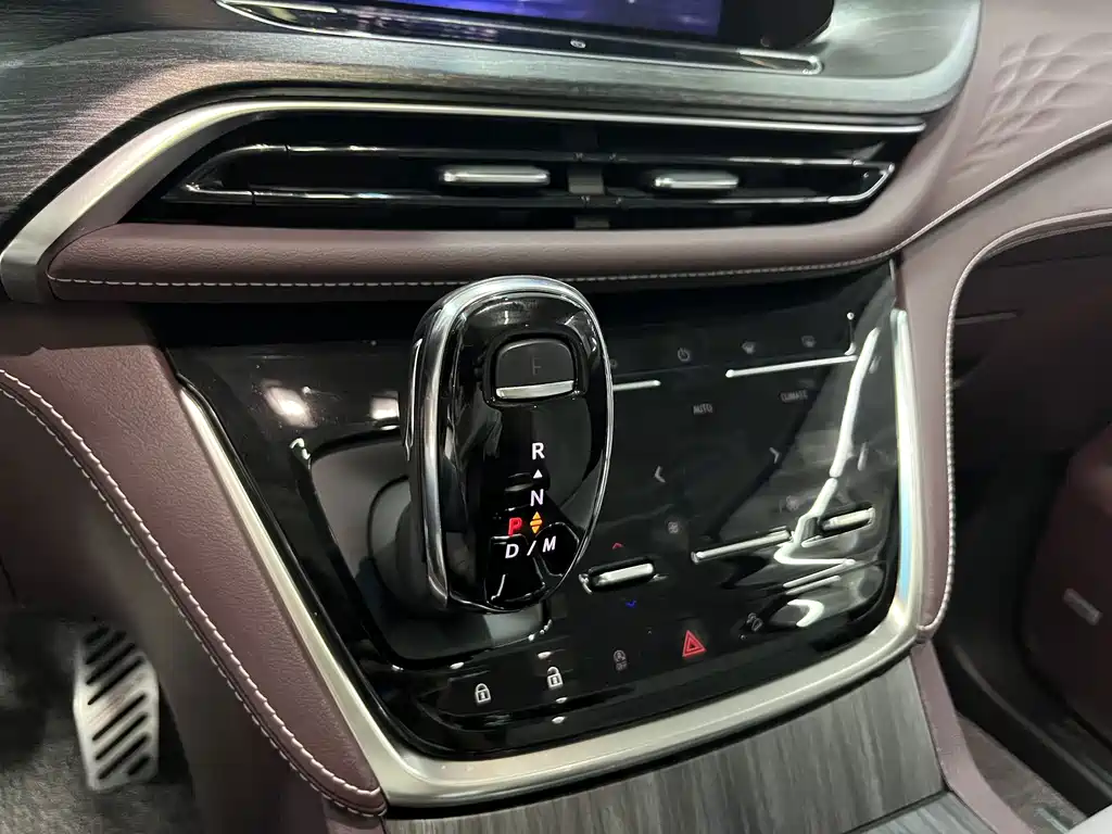 Buick GL8 — миниатюра 10