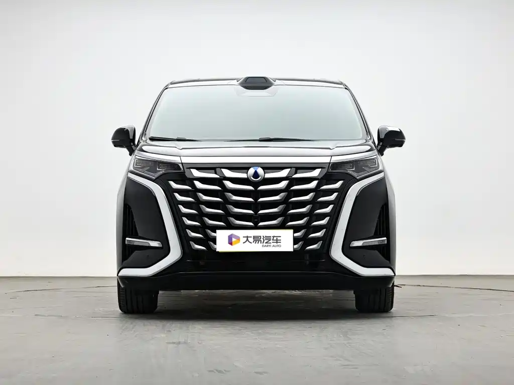 Denza Denza D9 — миниатюра 2