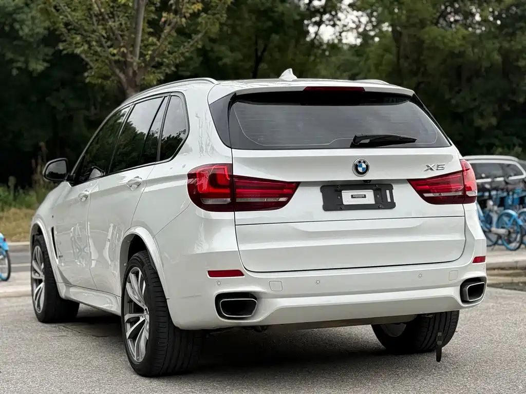 BMW X5 (Import) — миниатюра 6