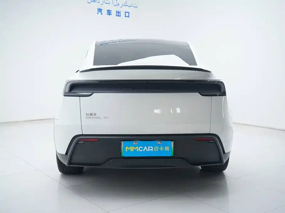 Tesla Model Y — миниатюра 11