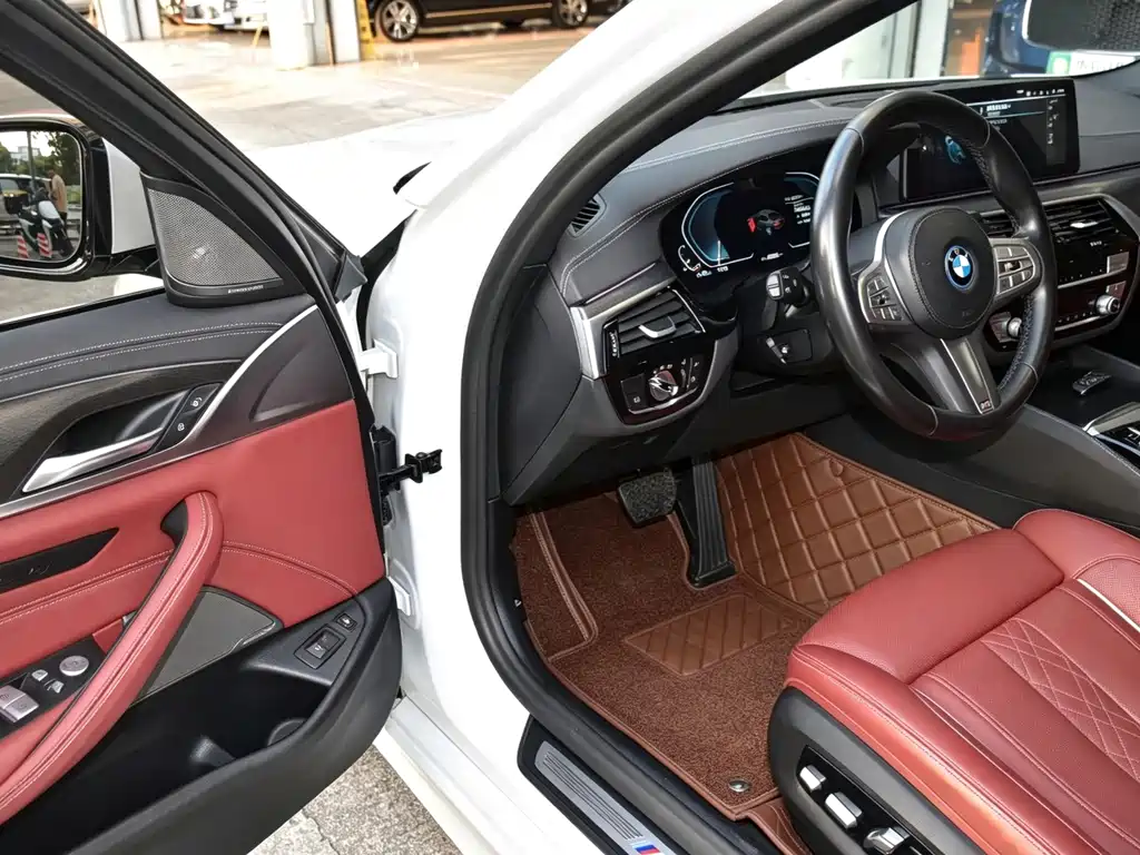 BMW 5 Series PHEV 2022 — фото 6