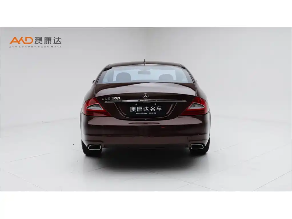 Mercedes-Benz CLS 2009 CLS 300