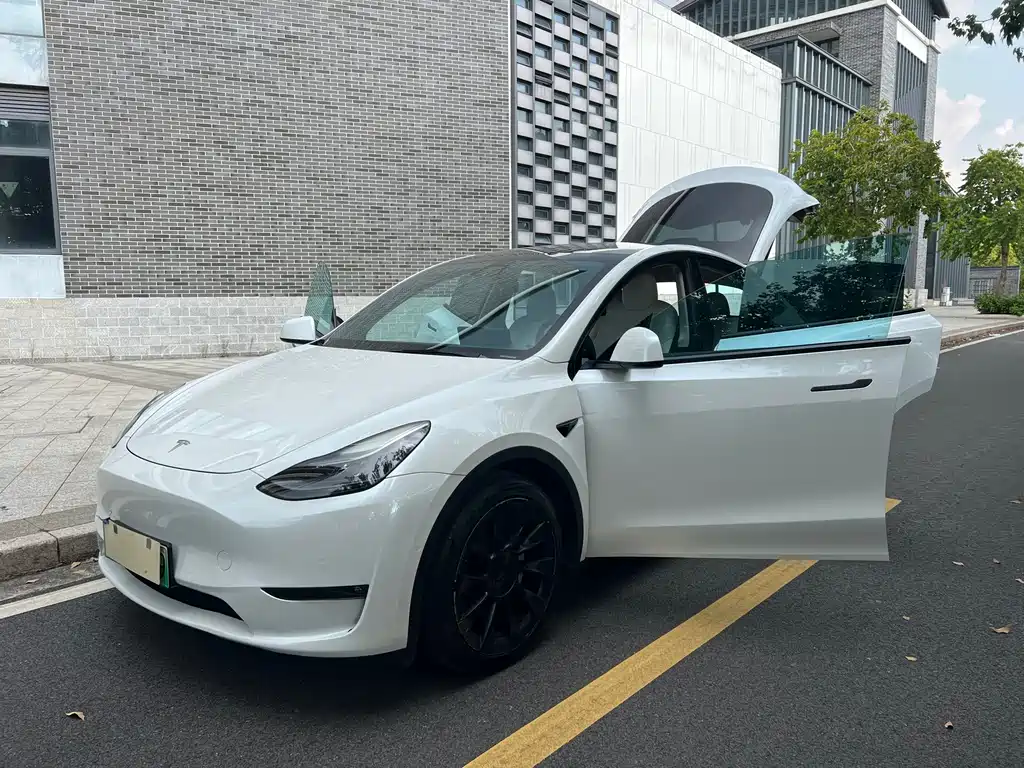 Tesla Model Y — миниатюра 24