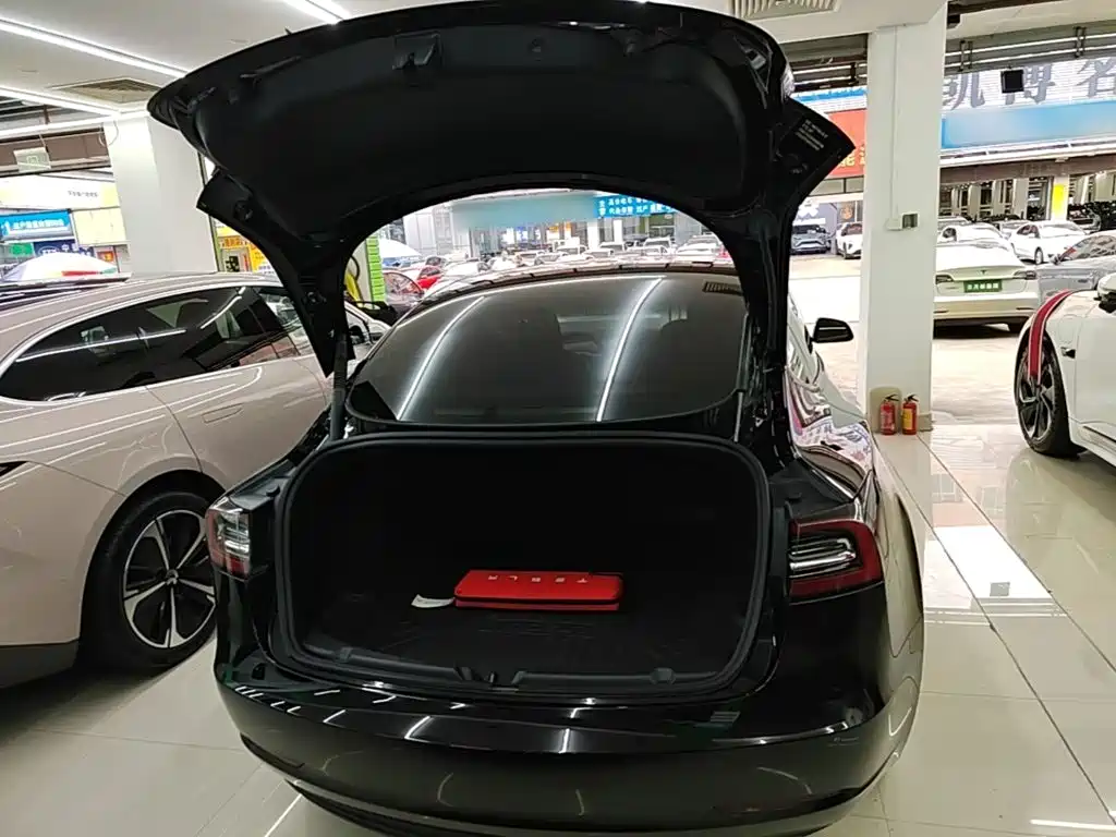 Tesla Model 3 — миниатюра 19