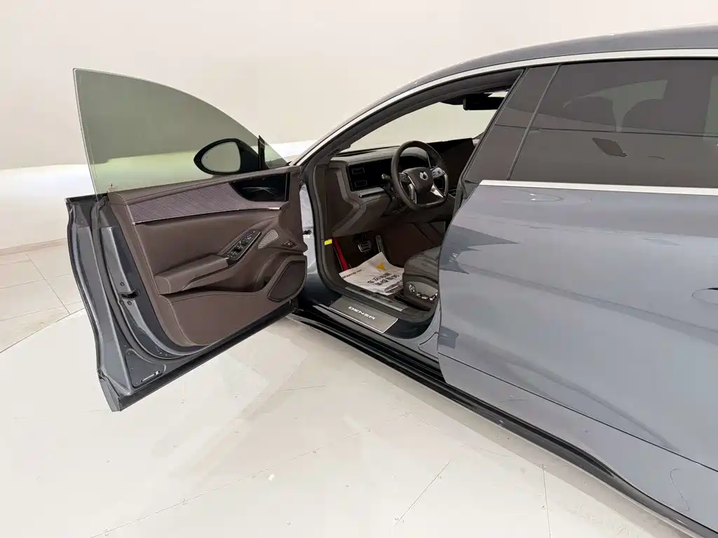 Denza Denza Z9 — миниатюра 24