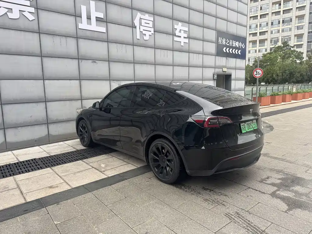Tesla Model Y — миниатюра 9