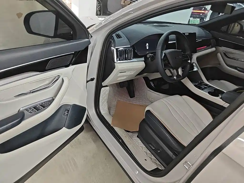 BYD PLUS New Energy — миниатюра 16