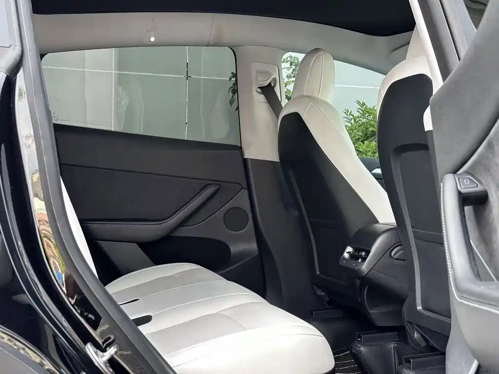 Tesla Model Y — миниатюра 10
