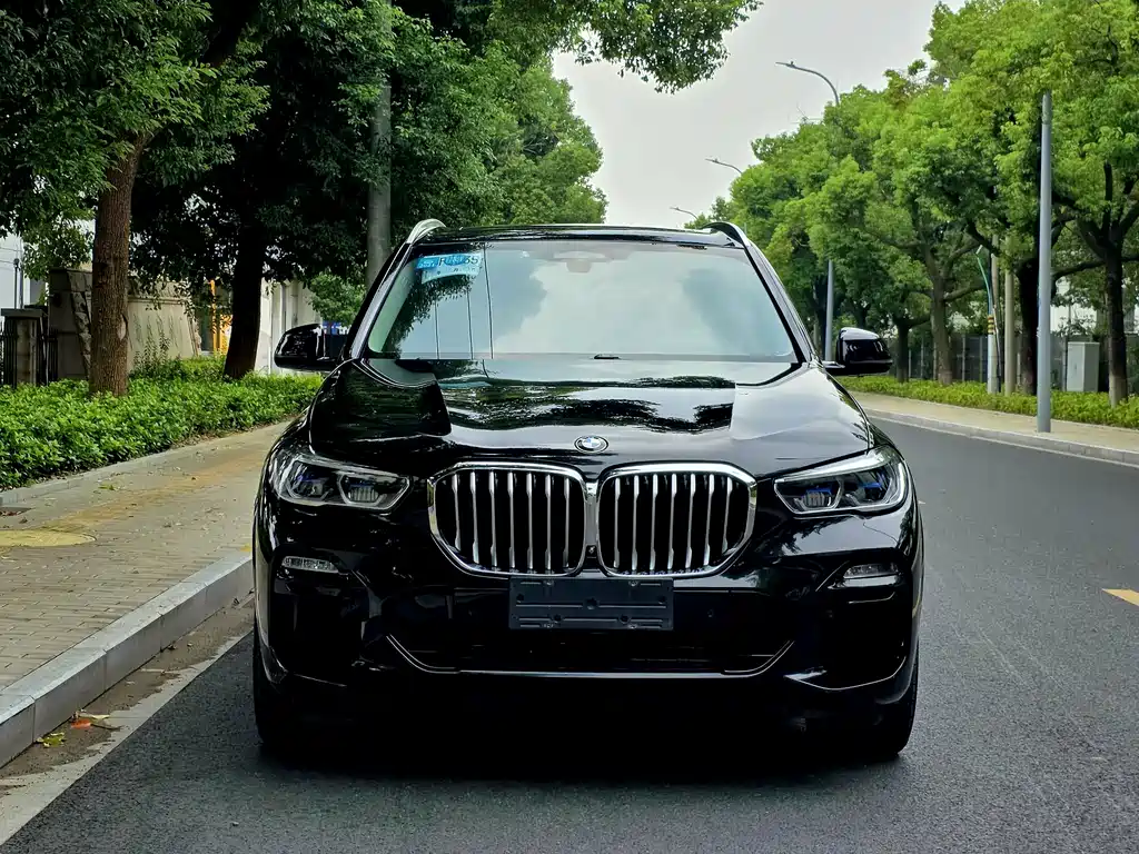 BMW X5 (Import) — миниатюра 3
