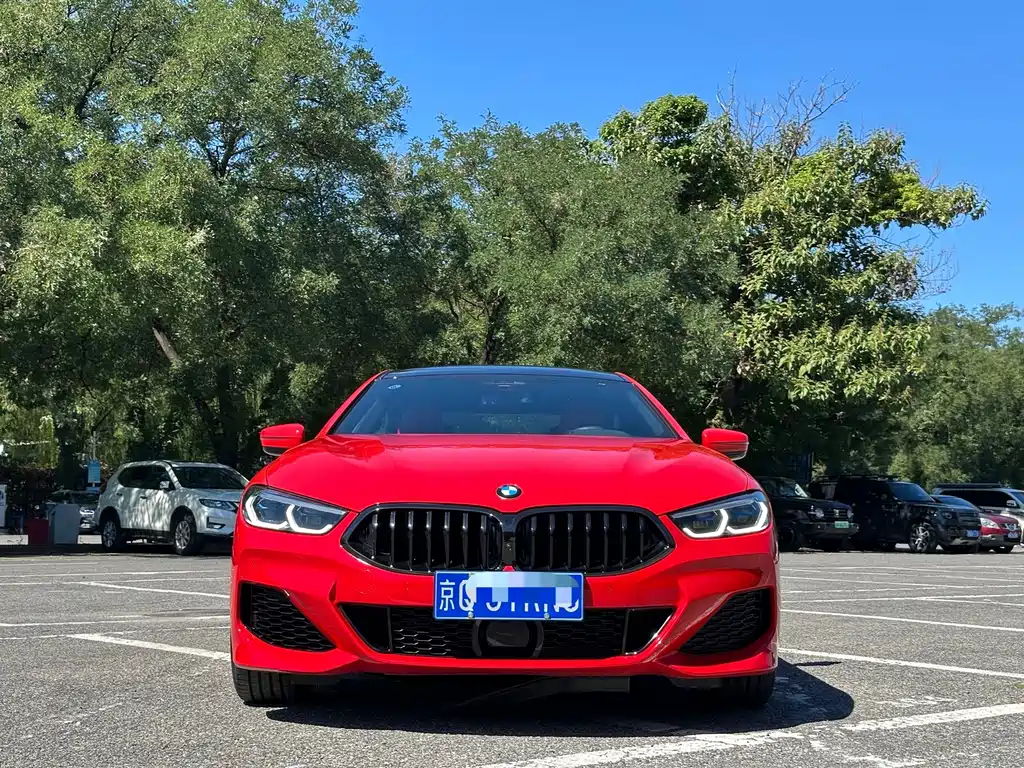 BMW 8 Series — миниатюра 2