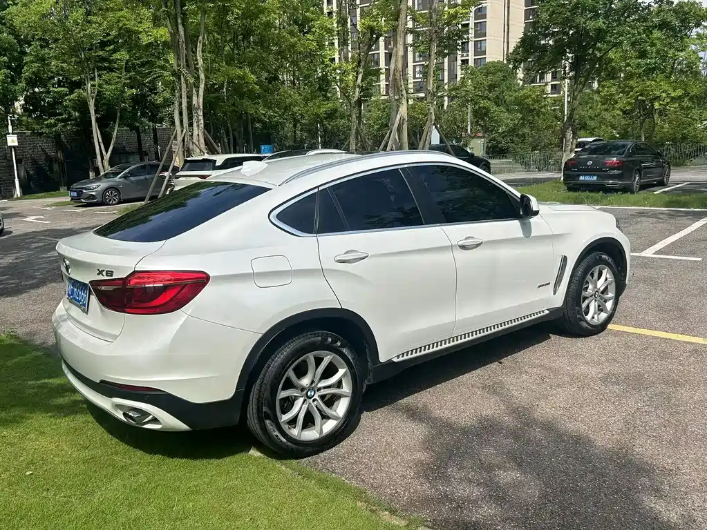 BMW X6 — миниатюра 8