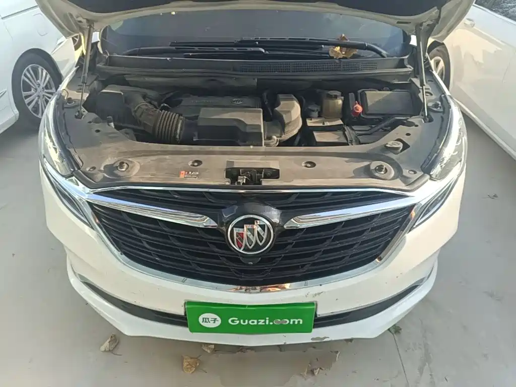 Buick GL8 — миниатюра 20