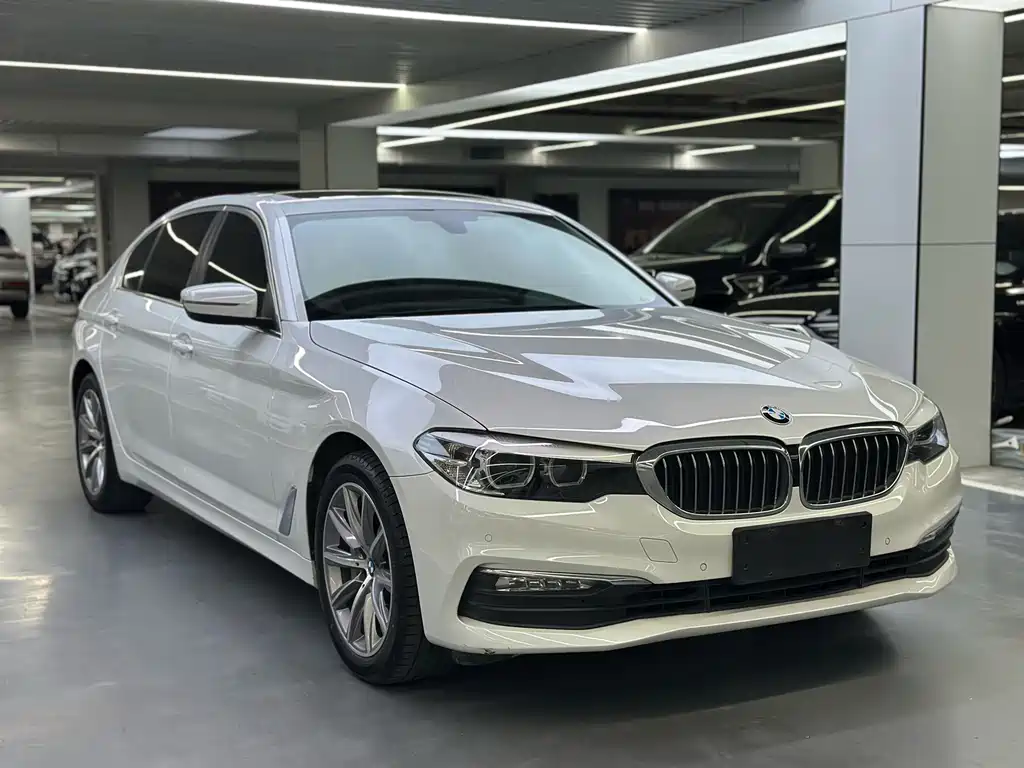 BMW 5 Series 5 2018 528Li