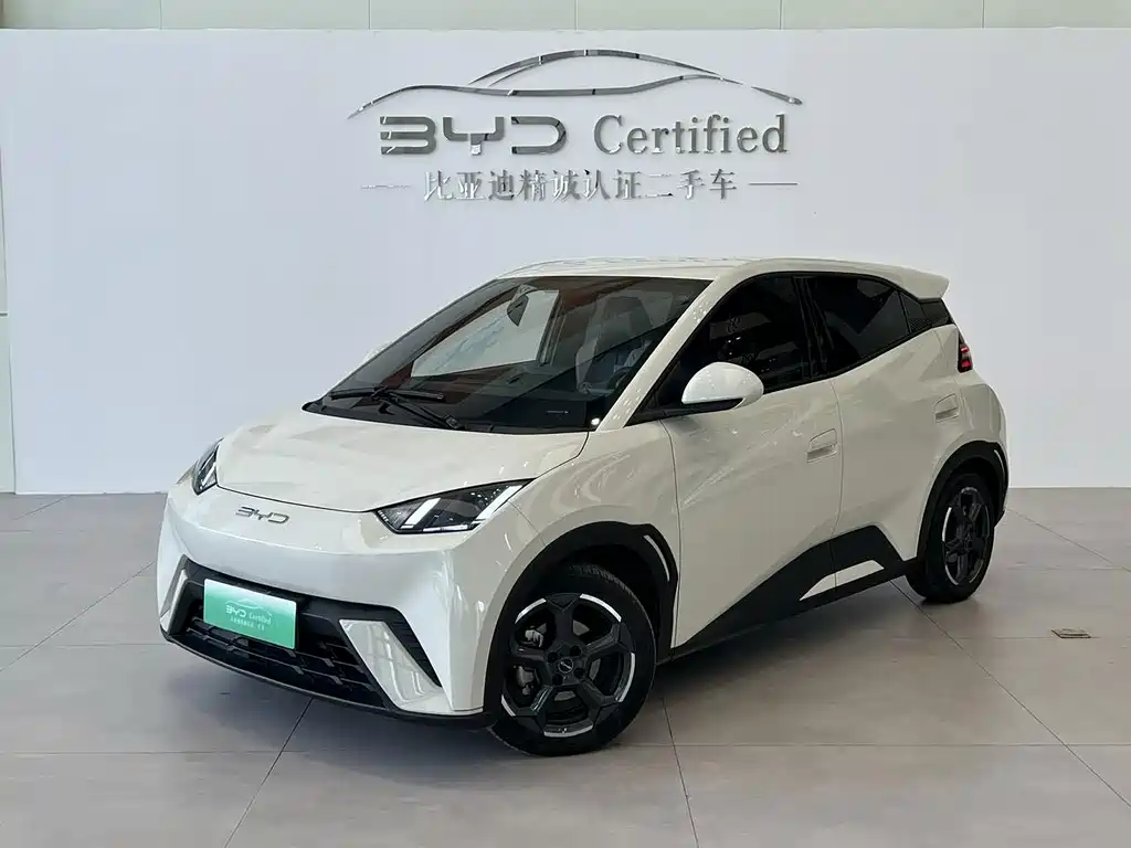 BYD Seagull