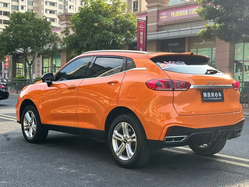 WEI PAI WEI BRAND VV5