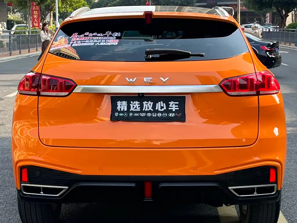 WEI PAI WEI BRAND VV5