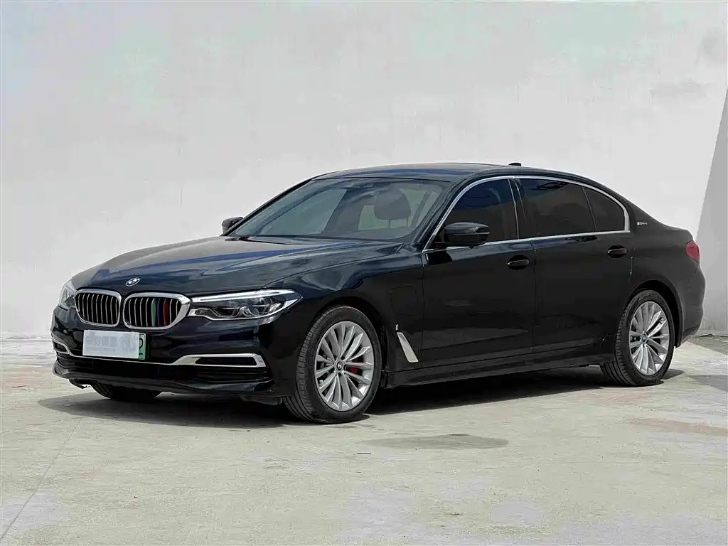 BMW 5 Series 5 2019 530Le Luxury