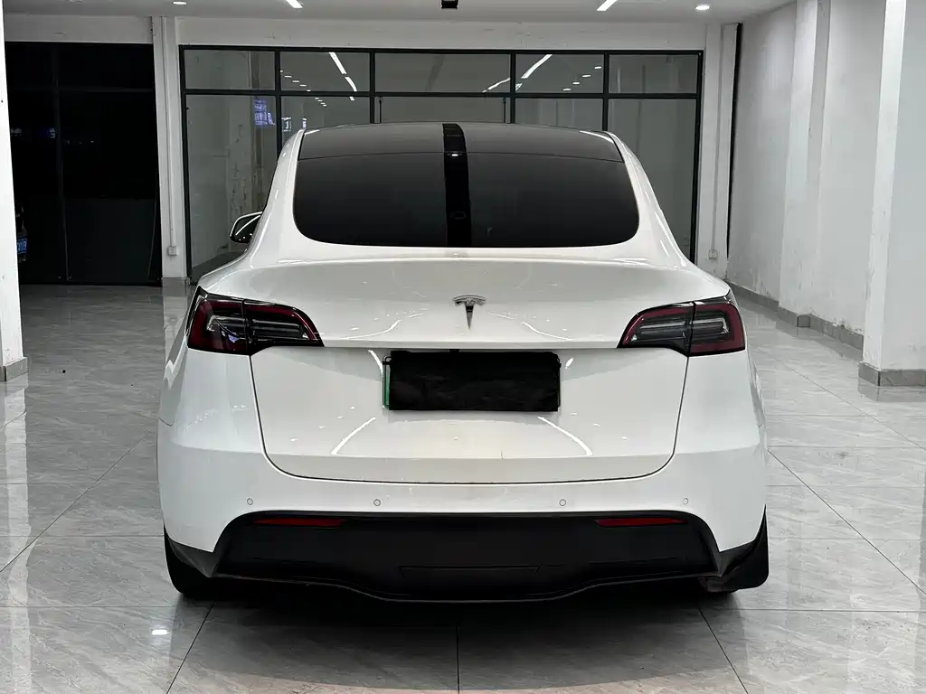 Tesla Model Y — миниатюра 15