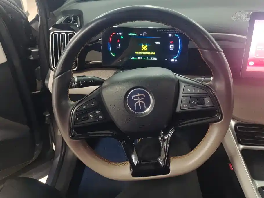 BYD Pro New Energy — миниатюра 15