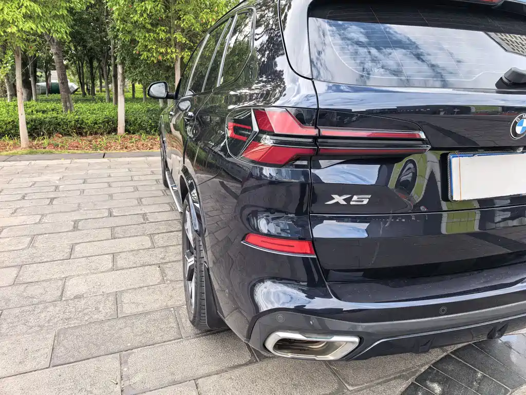 BMW X5 — миниатюра 12