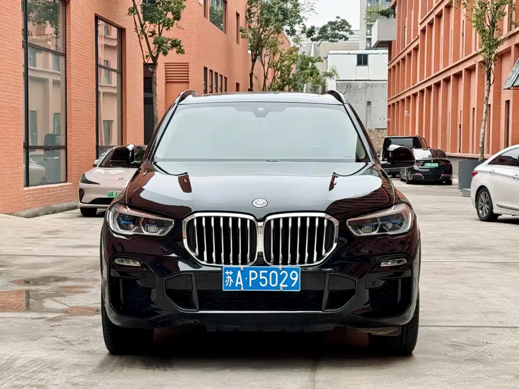 BMW X5 (Import) — миниатюра 2
