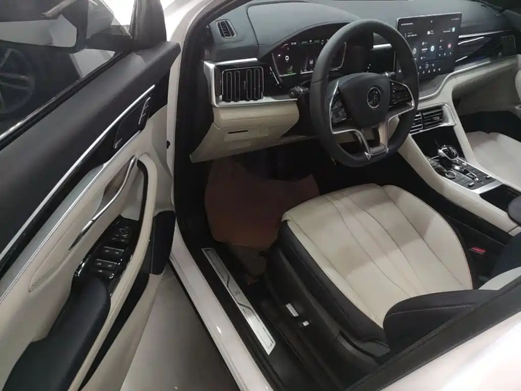 BYD PLUS New Energy — миниатюра 16