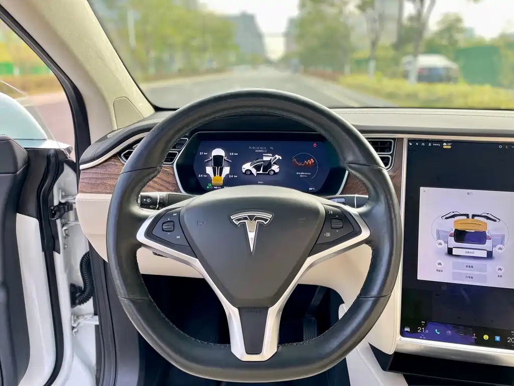 TESLA MODEL X