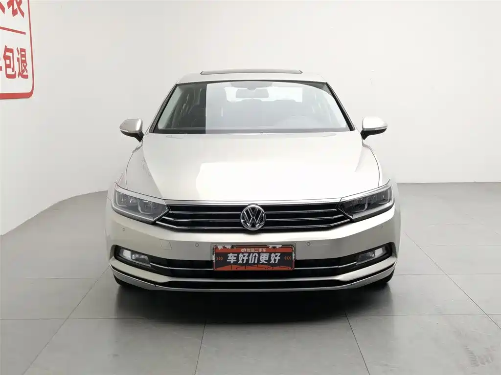 Volkswagen Magotan 2019 330TSI DSG Luxury VI