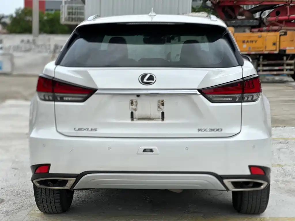 Lexus RX 2020 300 Comfort VI