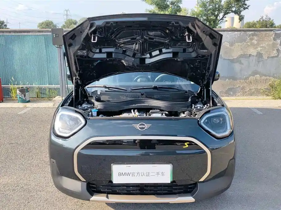 MINI MINI ACEMAN EV — миниатюра 13