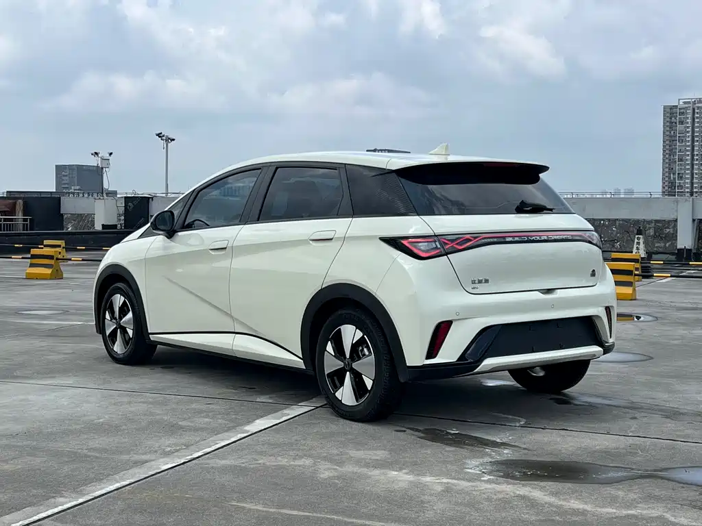 BYD Dolphin 2023 420km Fashion