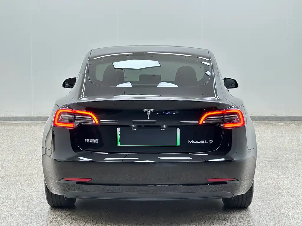 Tesla Model 3 — миниатюра 5