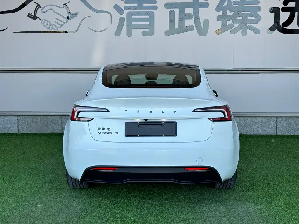 Tesla Model 3 — миниатюра 13