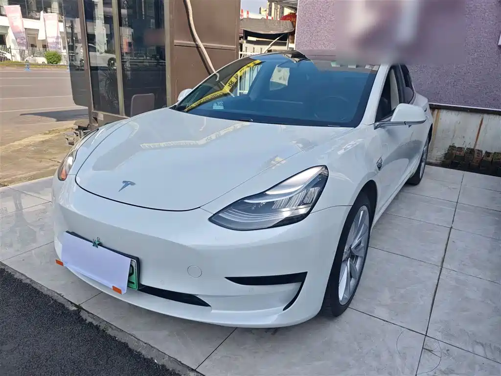 Tesla Model 3 2021