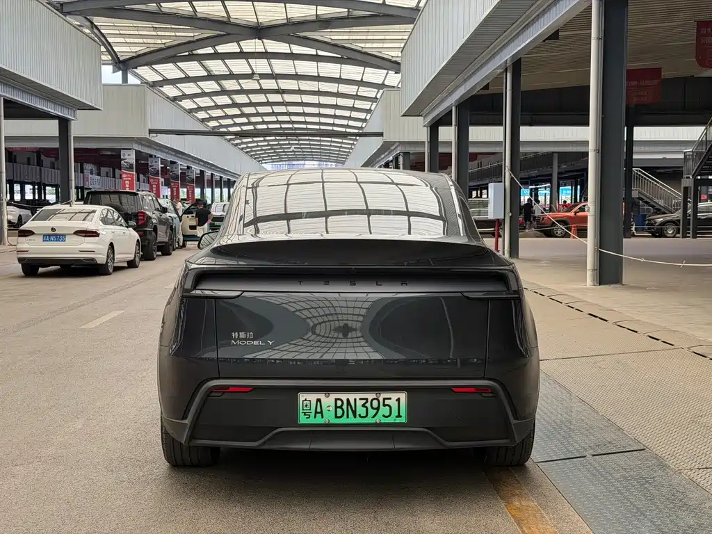 Tesla Model Y — миниатюра 11