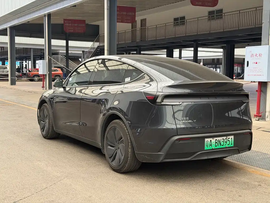 Tesla Model Y — миниатюра 12