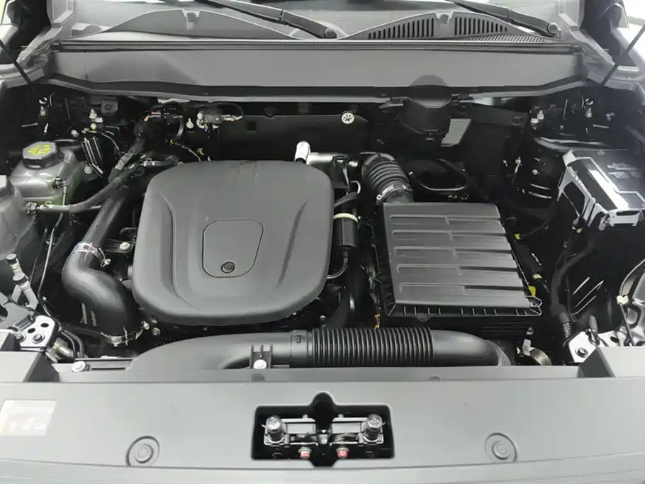 HAVAL RAPTORS NEW ENERGY